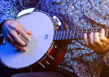 Live Entertainment from David The Banjo Man